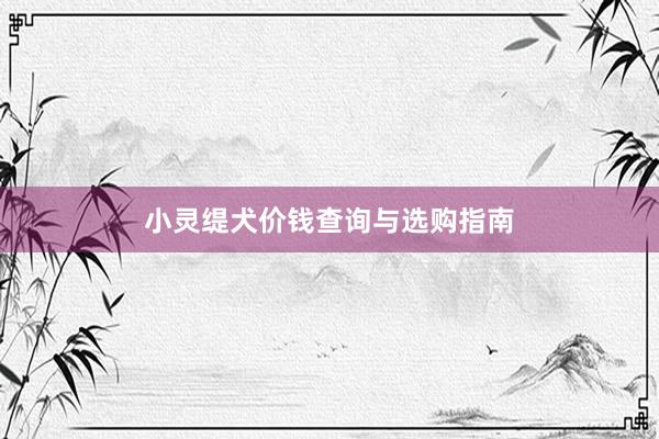 小灵缇犬价钱查询与选购指南