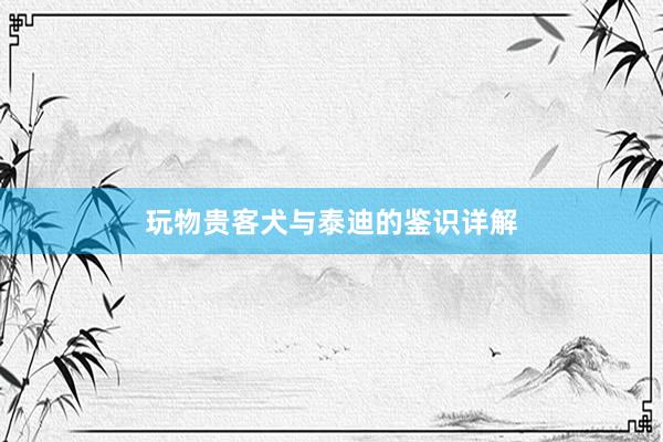 玩物贵客犬与泰迪的鉴识详解