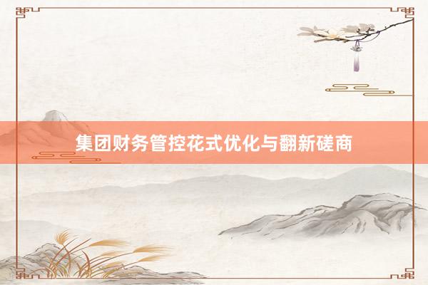 集团财务管控花式优化与翻新磋商